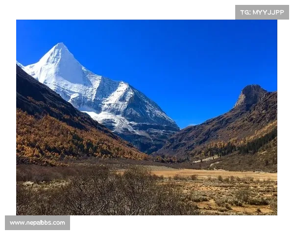 离线为中心：黑魂3的独行侠之旅