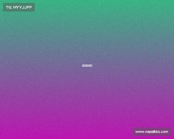 电子打火机价格